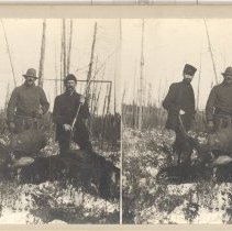 Stereograph