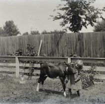 Gilbert child and a calf