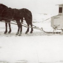 Team of horses pulling a wooden house on runners used by mailman