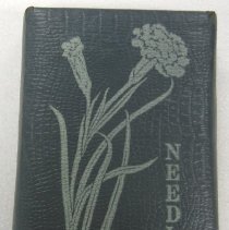 Novelty needlebook