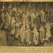 Jerry Pawlak with foxes