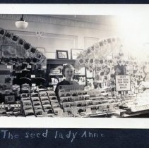Display of Garden seeds at Braun's Department Store