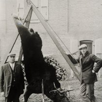 Hunters & dead moose