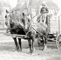 Unidentified man on wagon with horse team-matte print