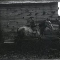 Boy on horse-glossy print