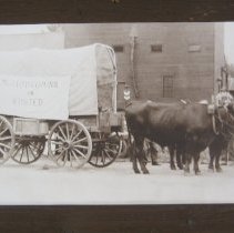 Oxen and covered wagon