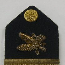 Military insignia shoulder board