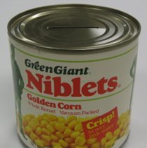 Novelty savings bank can