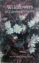 Wildflowers of Tidewater Virginia
