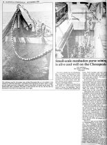 "Small-scale menhaden puirse seining is alive and well on the Chesapeake,"