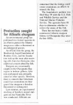 "Protection sought for Atlantic sturgeon"