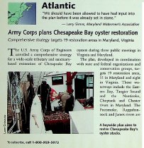 Army Corps plans Chesapeake Bay oyster restoration