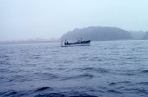 Trotliner near Kent Island, MD