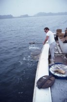 "With a cat-quick stroke, Tucker lands a big jimmy in his twine dip net"