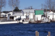 View across Branson Cove near the Branson Cove Marina Store