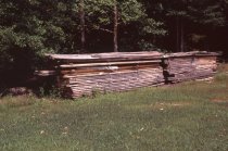 Wood cut by Francis Haynie dries in his yard