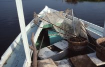 Crab scrape and other tools in the bow of the Margaret H