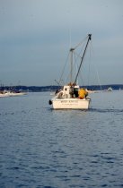 The Miss Angie dredging for oysters, Rappahannock River, January, 2003