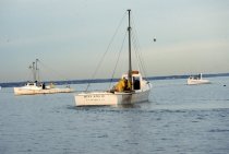 The Miss Angie dredging for oysters, Rappahannock River, January, 2003