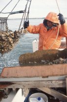 Todd Parks hauling in the dredge