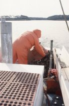 Todd Parks on his boat, Kristin Dale
