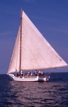 Deal Island Skipjack Races, Deal Island, MD