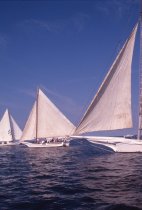 Deal Island Skipjack Races, Deal Island, MD