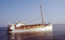 Nellie Crockett on the way to the oyster beds