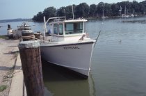 The catfishing garvey, Reprisal