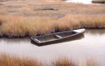 Abandoned skiff in marsh