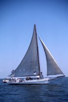 The skipjack Martha Lewis races near Deal Island, MD