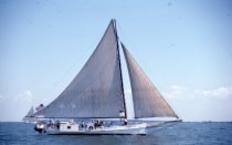 The Martha Lewis competing in the skipjack race