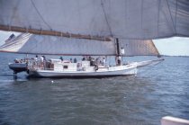 The Martha Lewis competing in the skipjack race