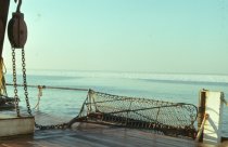 Winter oyster dredging, Chesapeake Bay