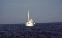 The Ward Brothers, piloted by Johnny Ward's grandson,  John Melvin Ward