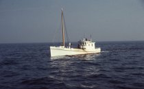 The Thomas W., piloted by Capt. Floyd Ward