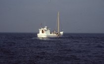 Ward Brothers oyster dredging