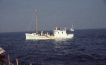 Thomas W. crab dredging