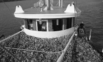 Pilot house on the Nellie Crockett, Capt. James H. Ward, Sr. at the helm