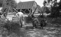 Godiah Spray Tobacco Plantation, St. Mary's City
