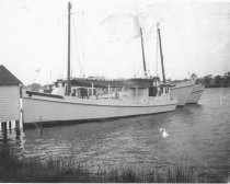 #2 Myrtle Virginia, Ellen W.,  Stephanie Lynn, Gladys L at  Ailsworth dock