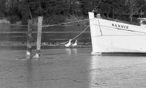 Bow view of Nannie, moored in the ice on Lagrange Creek