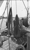 Cleaning the shrimp nets, Beaufort, NC