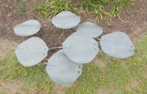 Sculpture_Stingrays_2025.27.1(1)