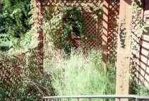 Print_Photographic_Pette Clark House_2025.28.3(35)