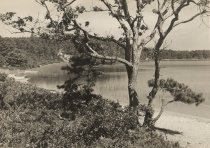 Eaton Beach - Gull Pond
