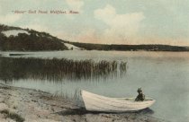 'Alone' Gull Pond, Wellfleet, Mass.