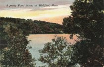 A pretty pond scene, at Wellfleet, Mass.