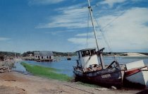 Wreck of the dragger "Highland Light" fishing boat. Oyster houses by R.R. T