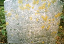 Rich Cemetery, Holsbery Road in Truro, MA. Cemetery contains only two stone